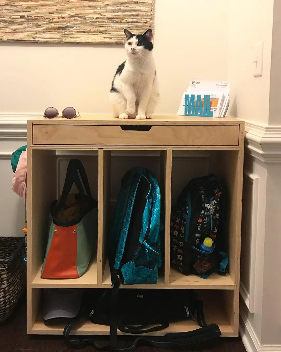 Backpack Cabinet
